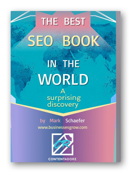 The Best Seo Book in the World